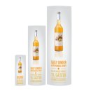 Reklamestander | Elipse i pap