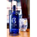 6 O'Clock Gin Tonic m. snacks