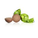 Choko & Treats No. 2