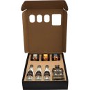 Meyer's Gin Tonic m. snacks